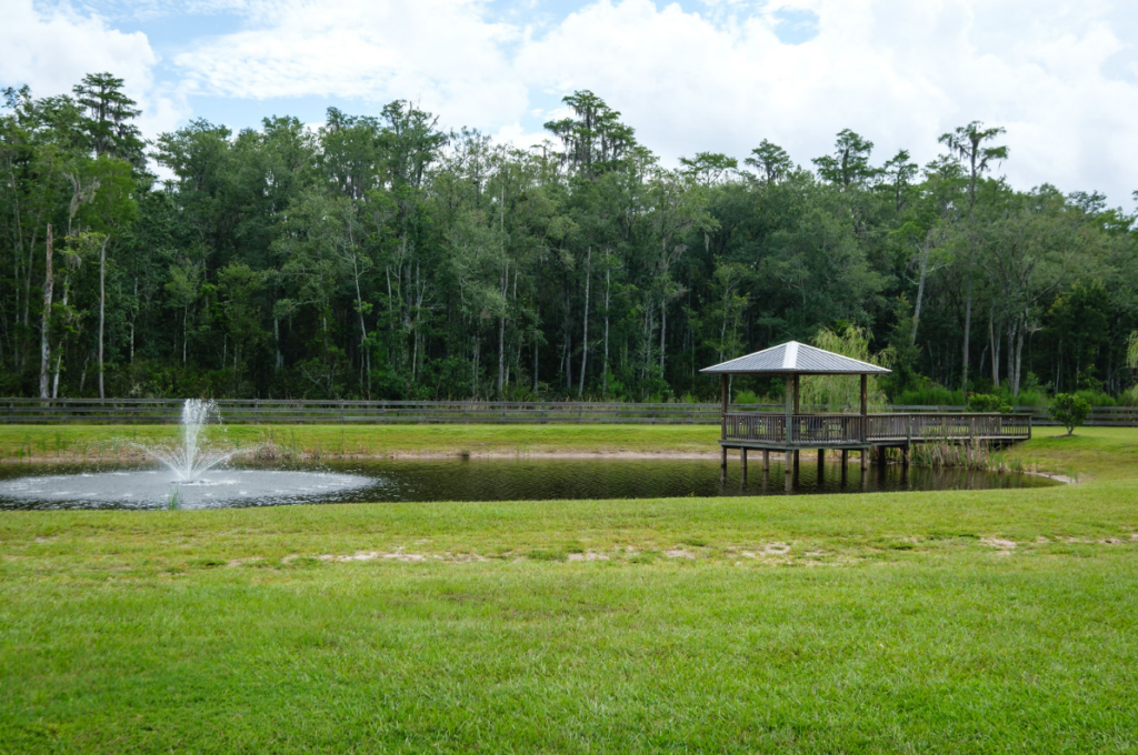 covered pier over pond