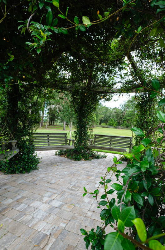 pergola covered with vines with bench swings