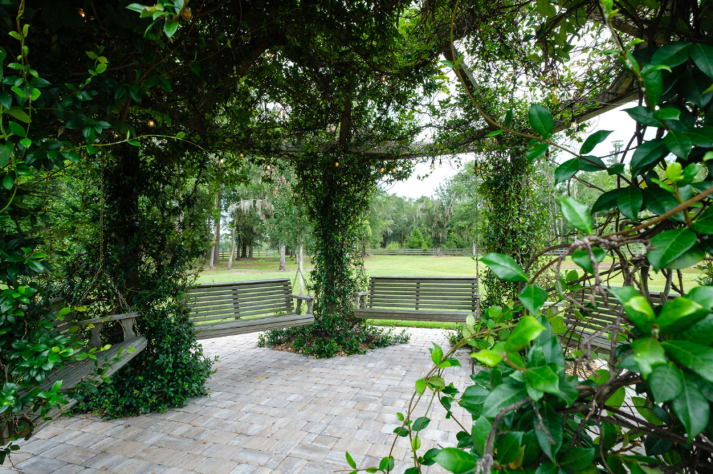 swings under greenery canopy